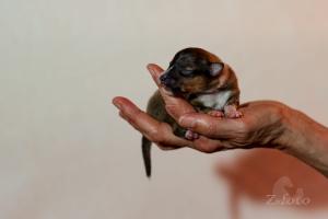 signal-2024-03-03-090702 002