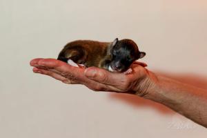 signal-2024-03-03-090702 006