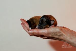 signal-2024-03-03-090702 007