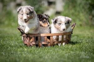 signal-2024-05-03-074256 003