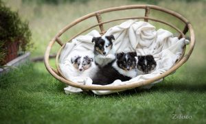 PHOTO-2026-02-11-17-36-41