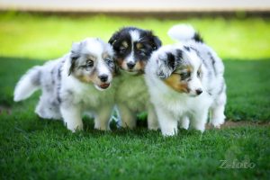 PHOTO-2026-02-11-17-40-35