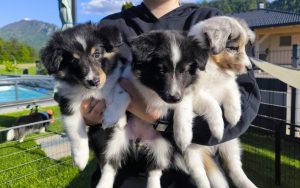 PHOTO-2026-02-11-17-44-30