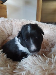 PHOTO-2022-05-05-08-10-52