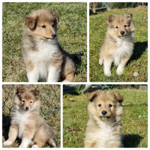 PHOTO-2026-02-12-21-07-32