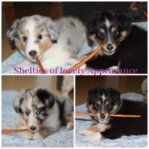 PHOTO-2026-02-13-08-46-38