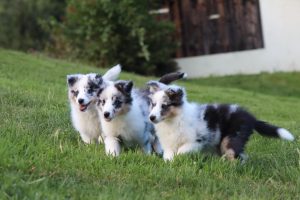 PHOTO-2026-02-12-20-12-33