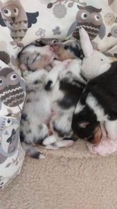 PHOTO-2025-02-21-13-35-20