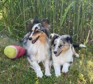 PHOTO-2026-02-13-11-55-43