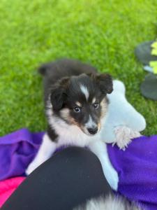 PHOTO-2025-04-28-19-20-00