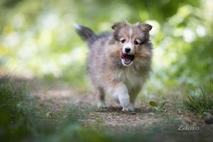 signal-2020-06-12-093219_005