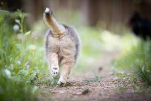 signal-2020-06-12-093219_006