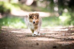 signal-2020-06-12-093219_007