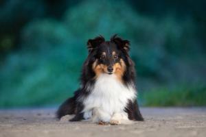 signal-2020-11-23-203004 001