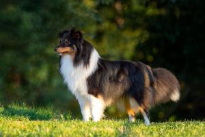 signal-2020-11-23-203004 002