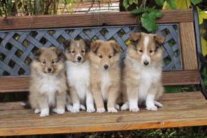 signal-2024-10-09-204807 002