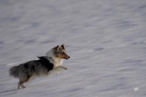 signal-2023-02-18-143349 004