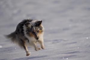 signal-2023-02-18-143349 006