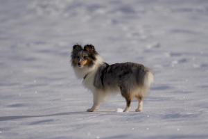 signal-2023-02-18-143349 007